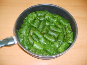 pazı