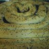 Peynirli Mayalı Açma Börek