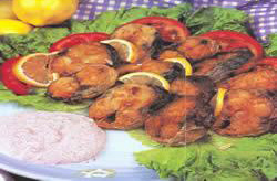 taratorlu_palamut_tavasi