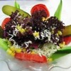YAYLA SALATASI