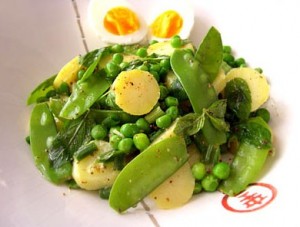 bahar-salatasi